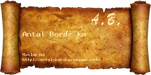 Antal Boróka névjegykártya